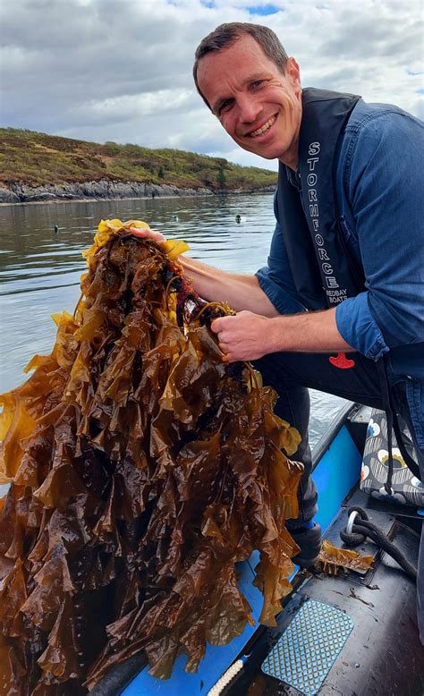 Seaweed Farming in Corpus Christi: A Sustainable Industry of the Future